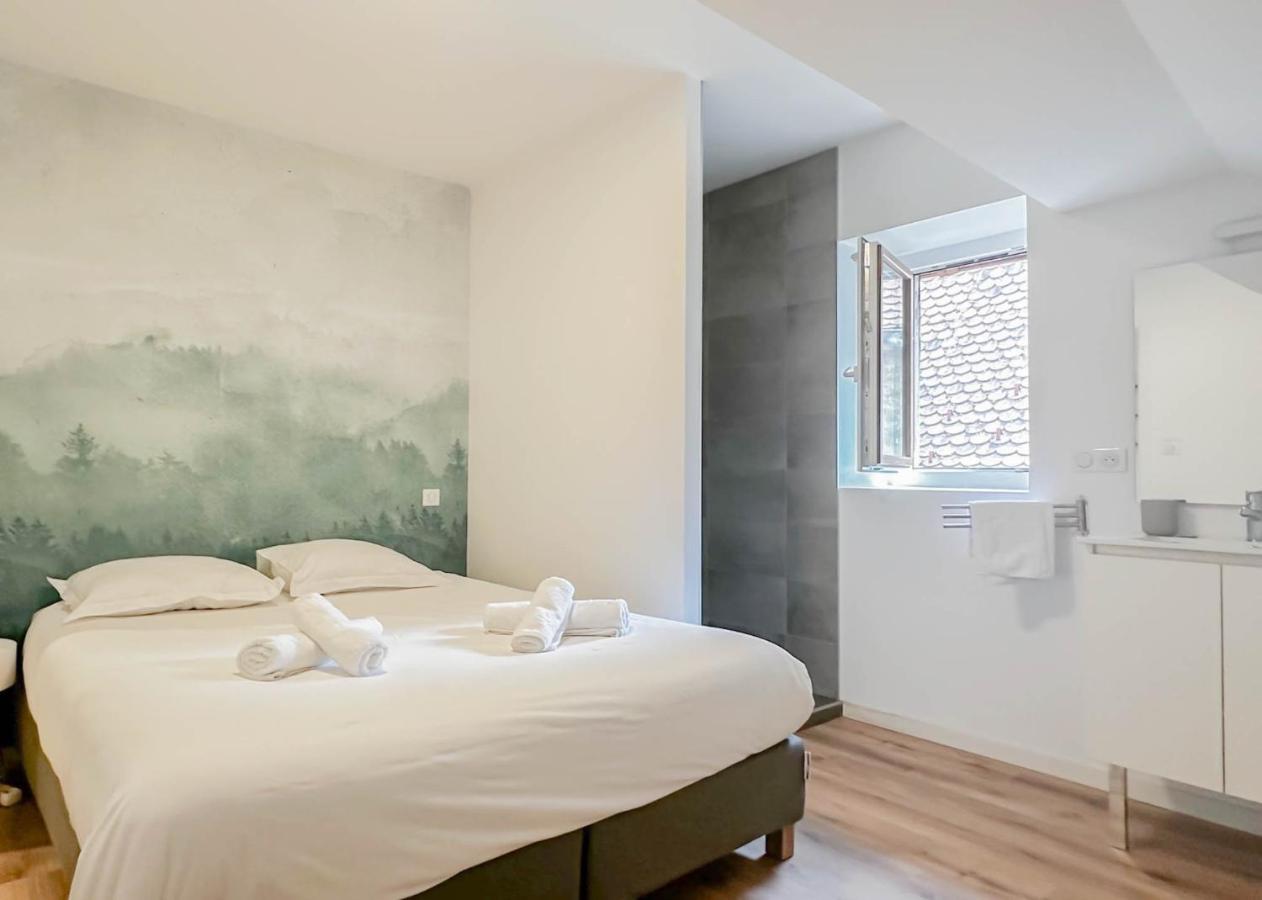 Rainbow, Rue Carnot Apartamento Annecy Exterior foto